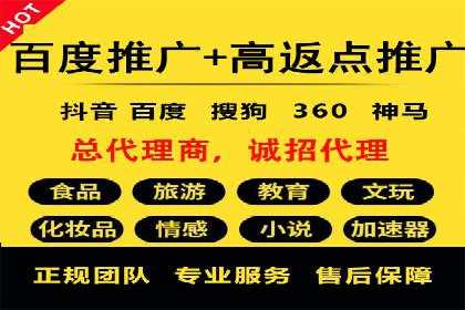 知名SEM服务公司成功案例分享